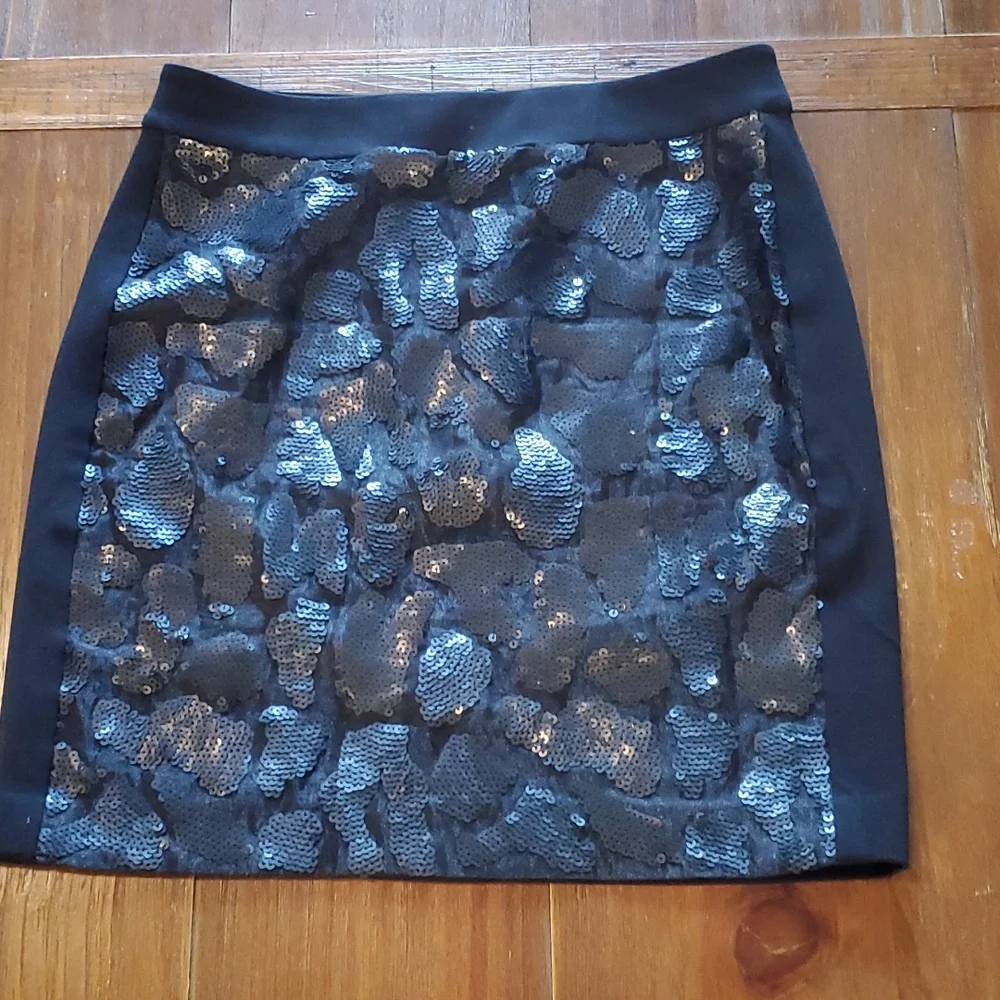 Ann Taylor Skirt - Picture 8 of 11